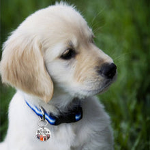 将图片加载到图库查看器,Funny Dog ID Name Tags for Small Large Dogs Cats Pets New Puppy Personalized Engraved Custom Customizable Dog Collar Tag Gifts for Dog Mom Dad Stainless Steel