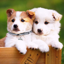 将图片加载到图库查看器,Funny Dog ID Name Tags for Small Large Dogs Cats Pets New Puppy Personalized Engraved Custom Customizable Dog Collar Tag Gifts for Dog Mom Dad Stainless Steel